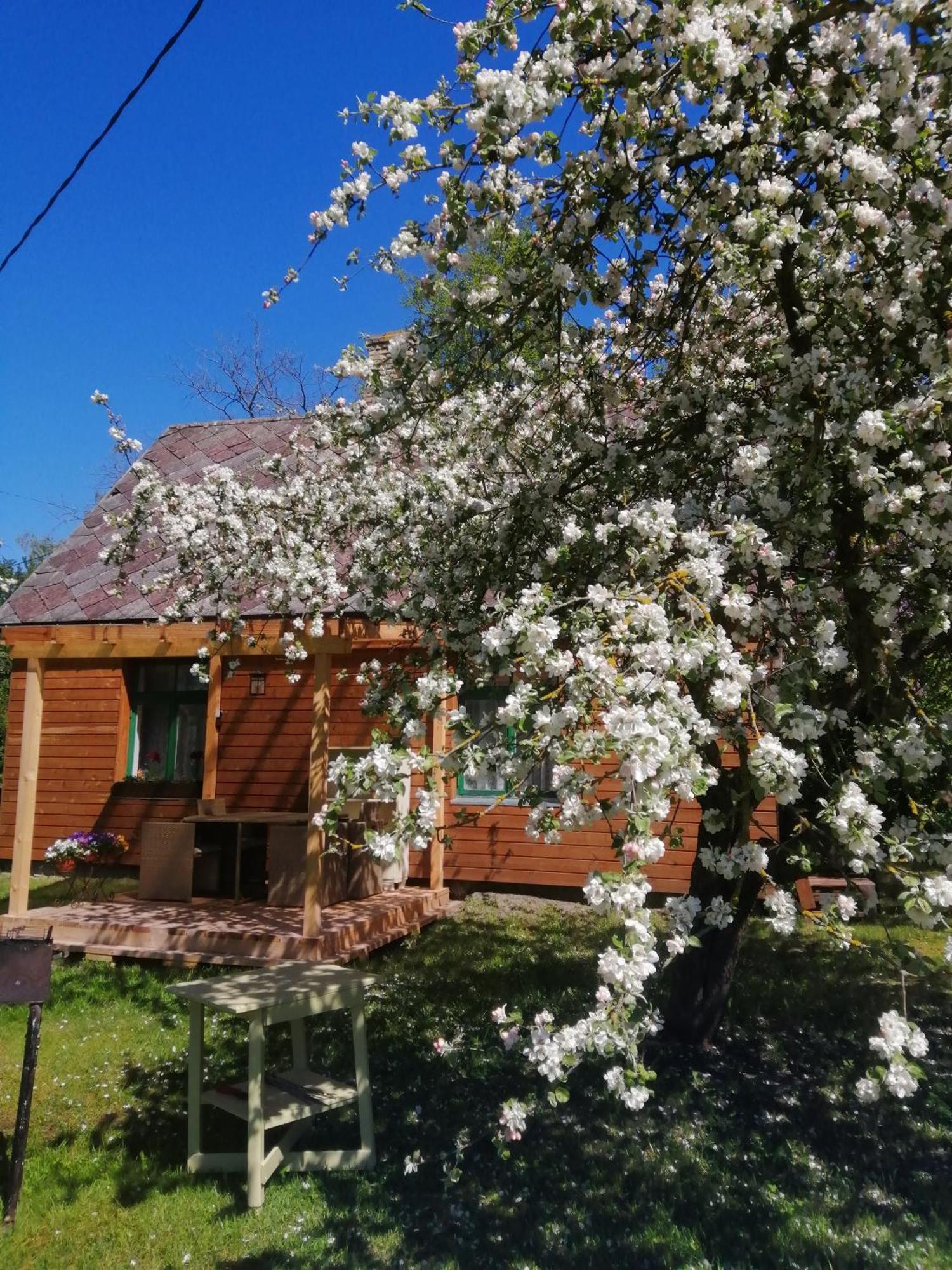 Searooms Lapmežciems Quarto foto